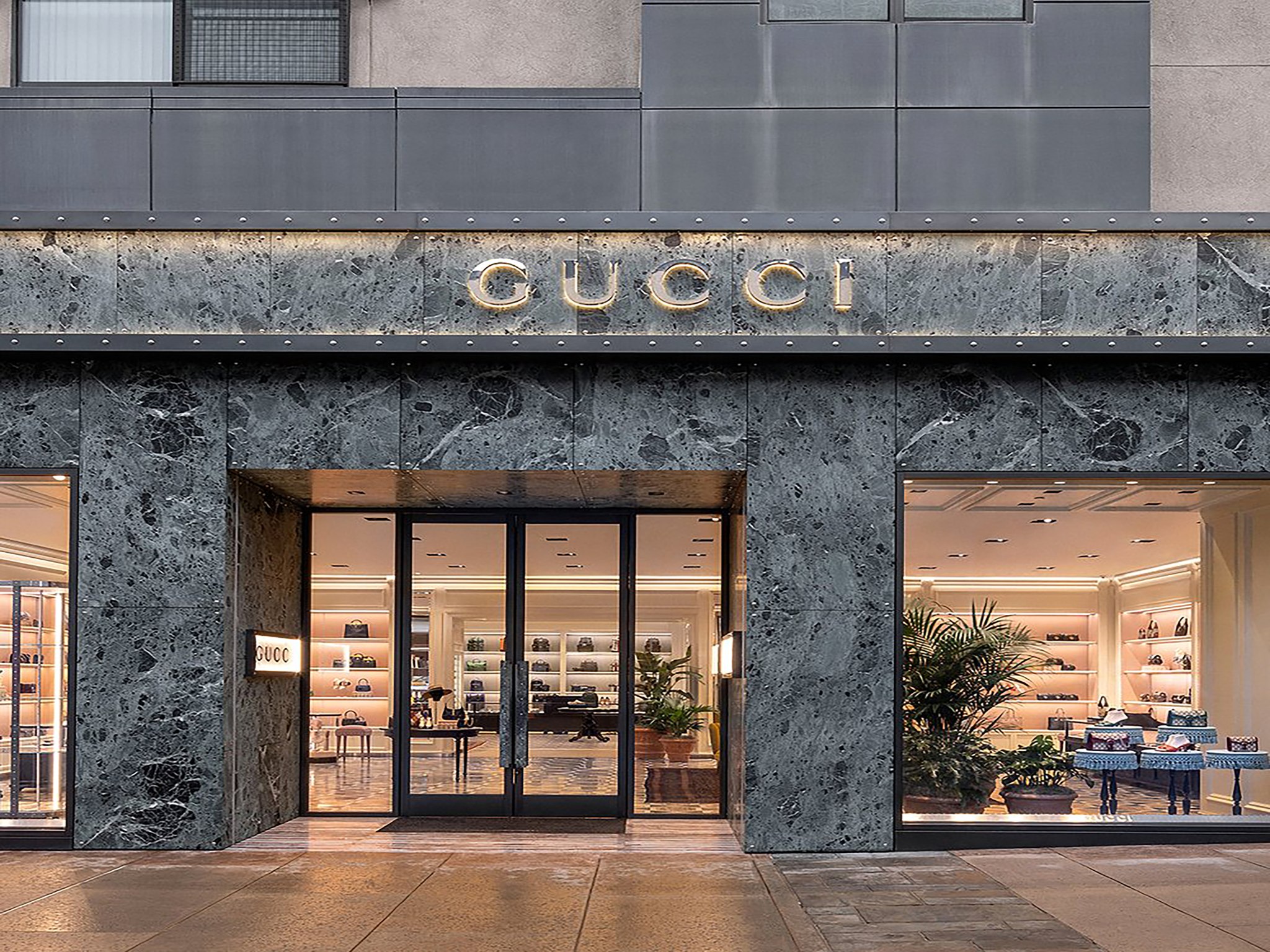 Gucci · The Domain project photograph